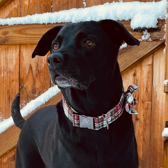 Ana’s Closet - Picture 2 of 3